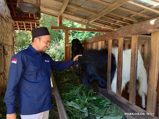KSM Menoreh Gemilang Berhasil Petik Manfaat dari Ternak Kambing Peranakan Etawa