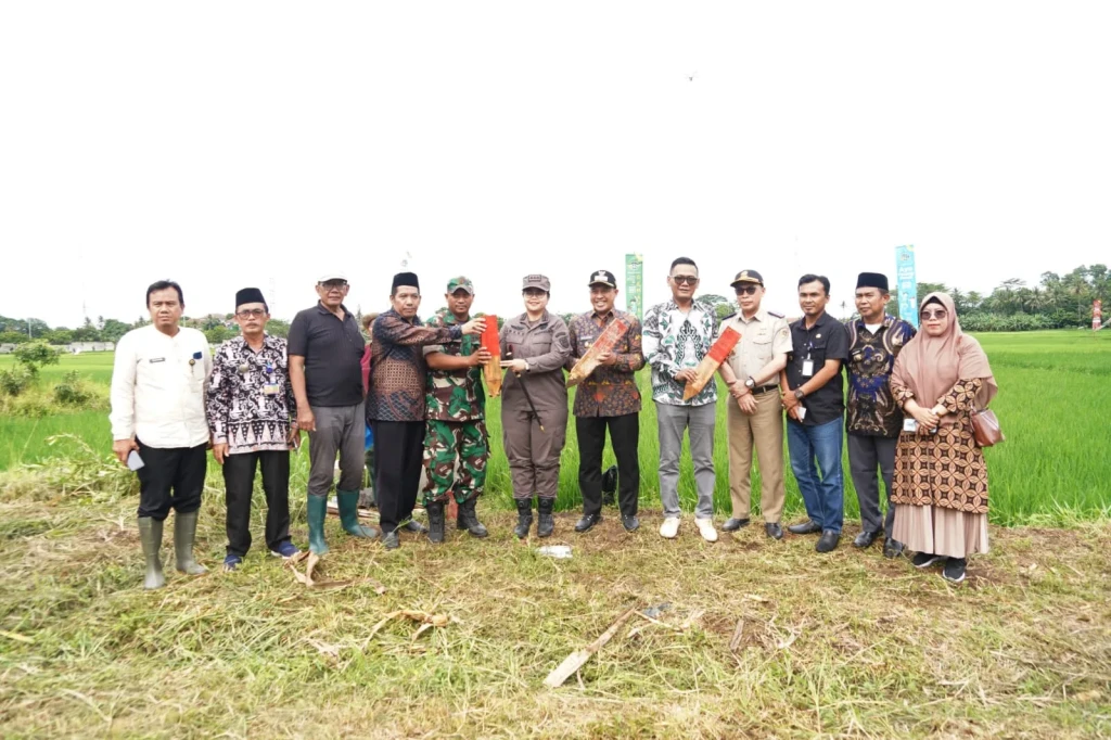 Patok Batas Bisa Minimalisir Perselisihan Tanah