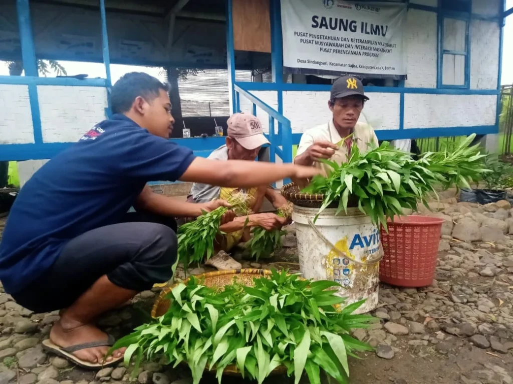 SAUNG ILMU AL-AZHAR PEMBANGKIT EKONOMI PETANI