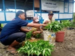 SAUNG ILMU AL-AZHAR PEMBANGKIT EKONOMI PETANI