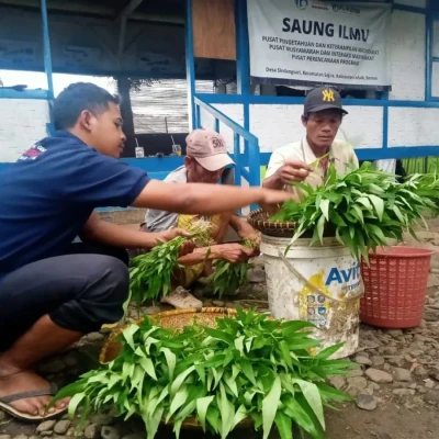 SAUNG ILMU AL-AZHAR PEMBANGKIT EKONOMI PETANI