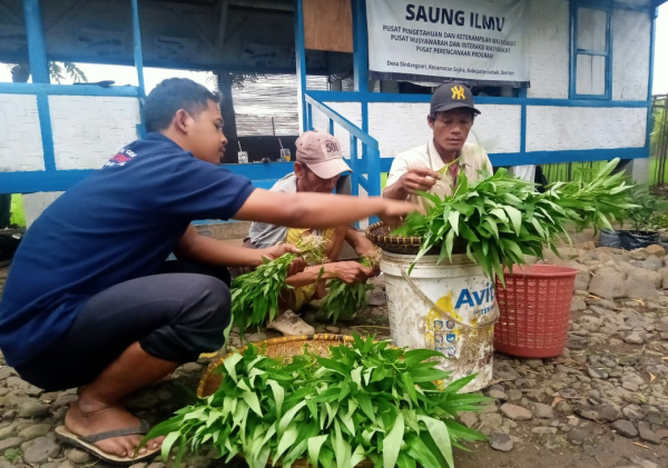 SAUNG ILMU AL-AZHAR PEMBANGKIT EKONOMI PETANI