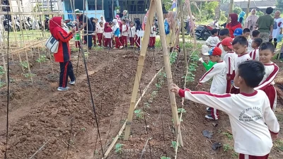 Penuh Bahagia Puluhan Siswa PAUD Anggraeni Berkunjung Ke Kebun Sahabat Pelita