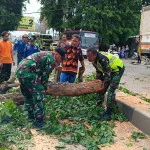 Pohon Tumbang, Danramil 0602