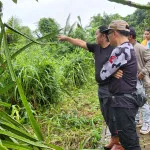 Kawasan Sitandu Jadi Sentra Bibit dan Edukasi Pertanian