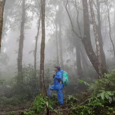 10 Keterampilan Penting untuk Bertahan Hidup di Hutan