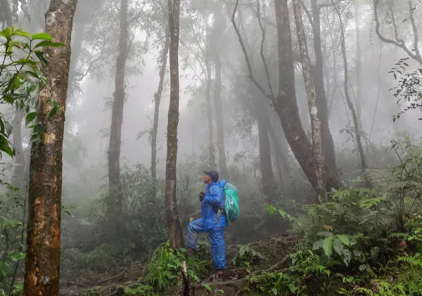 10 Keterampilan Penting untuk Bertahan Hidup di Hutan