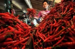 Harga Bahan Pokok Bergejolak, Pemkot Serang Turun Tangan Pantau Pasar Tiap Hari