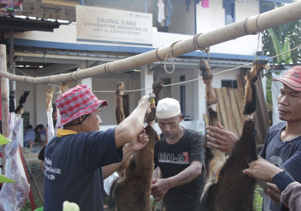 LAZ Al Azhar Distribusikan Kurban untuk Penyintas Gempa Bumi Cianjur