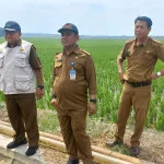 Pemprov Banten Terus Jaga Keberlangsungan Produksi Padi