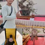 Bonsai Asal Kota Serang Banten Mendapatkan Juara 30 Besar dari 229 peserta dalam Pameran Internasional BCI Regional Bons...