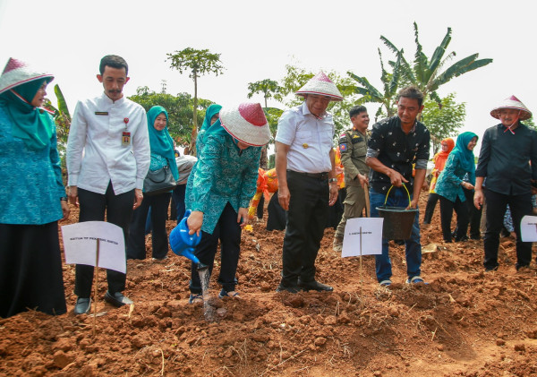 Percepatan Penanganan Stunting, Pj Gubernur Banten Al Muktabar Gencarkan Pemanfaatan Pangan Lokal