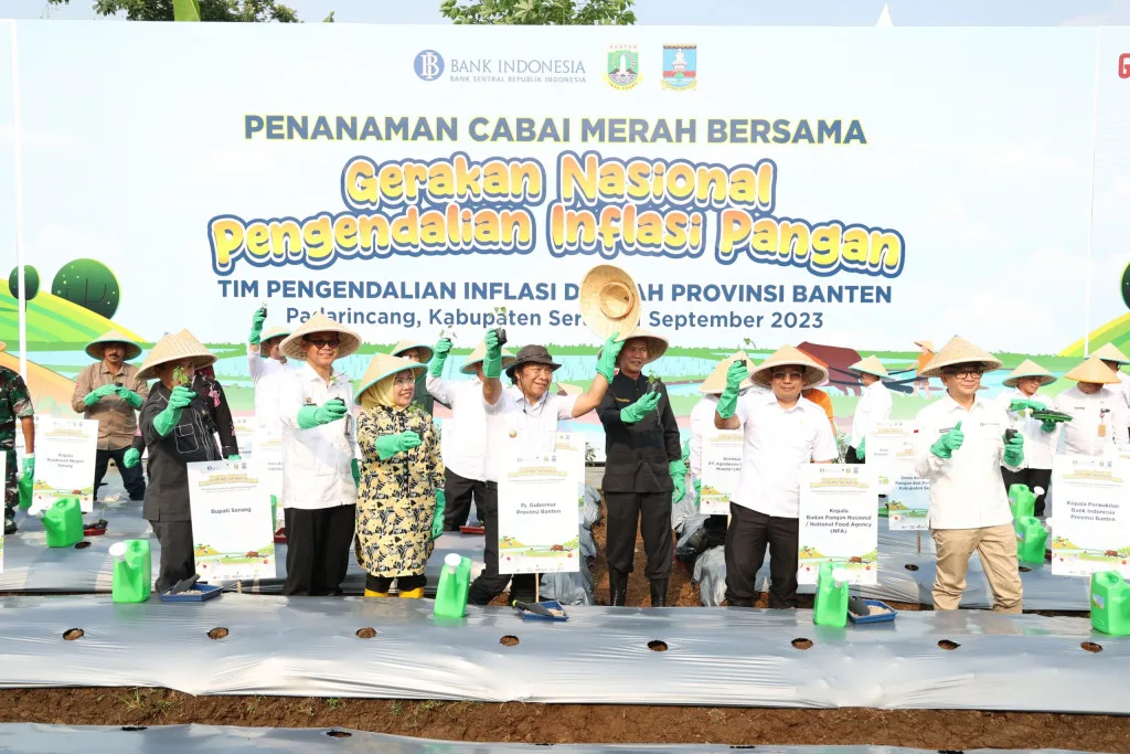 Tekan Inflasi, Pemprov Banten Gencarkan Penanaman Cabai