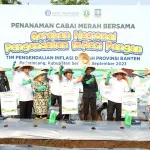 Tekan Inflasi, Pemprov Banten Gencarkan Penanaman Cabai