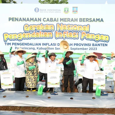 Tekan Inflasi, Pemprov Banten Gencarkan Penanaman Cabai