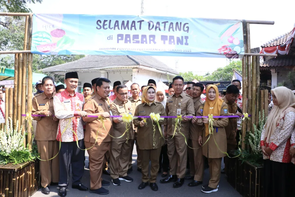 Kabupaten Serang Capai Swasembada Pangan, Bupati Dorong Ekspor Hasil Pertanian