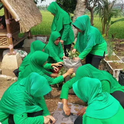 Persit Ranting 15 Koramil 0602-14/Pabuaran Tanam Ubi Jalar Menggunakan Media Karung