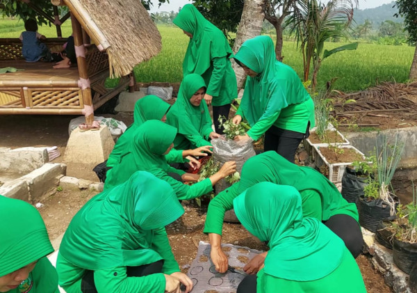 Persit Ranting 15 Koramil 0602-14/Pabuaran Tanam Ubi Jalar Menggunakan Media Karung