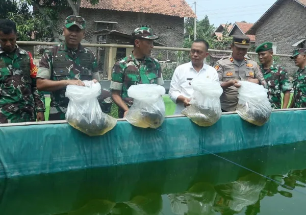 Tabur 2.000 Bibit Ikan, Dandim 0602/Serang Jaga Ketahanan Pangan