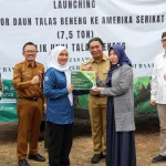 Banten Ekspor Daun Talas Beneng ke Amerika Serikat