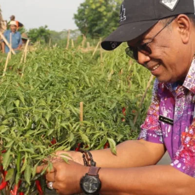 Komitmen DPKP Kabupaten Tangerang Jaga Inflasi Tetap Terkendali Melalui Program Gercep