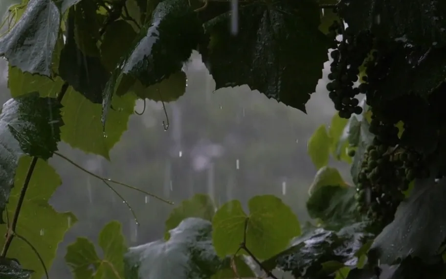 BMKG Peringatkan Potensi Hujan dan Cuaca Buruk di Banten Hari Ini : Dampak dan Langkah Pencegahan