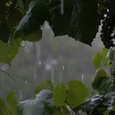 BMKG Peringatkan Potensi Hujan dan Cuaca Buruk di Banten Hari Ini : Dampak dan Langkah Pencegahan