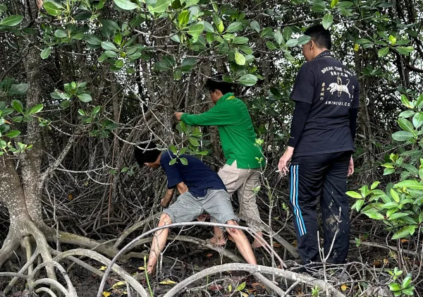 Inovasi Mahasiswa UGM dalam Program KKN-PPM: Pemasangan Lampu Tenaga Surya dan Penelitian Mangrove untuk Mendukung Pembangunan Berkelanjutan di Kabupaten Serang