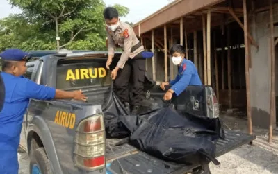 Penemuan Misterius: Misteri Mayat di Pantai Pulau Merak Besar