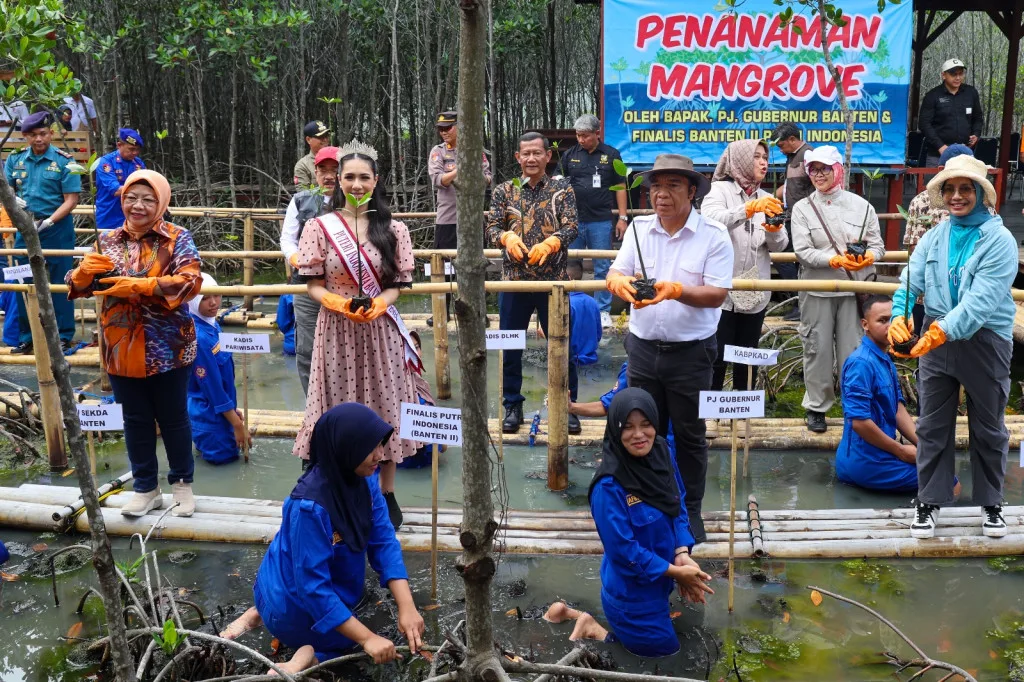 Gubernur Banten Tanam Mangrove, Harapkan Peningkatan Ekonomi dan Pariwisata Berkelanjutan