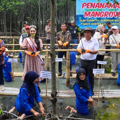 Gubernur Banten Tanam Mangrove, Harapkan Peningkatan Ekonomi dan Pariwisata Berkelanjutan