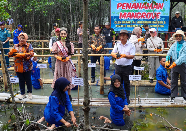 Gubernur Banten Tanam Mangrove, Harapkan Peningkatan Ekonomi dan Pariwisata Berkelanjutan