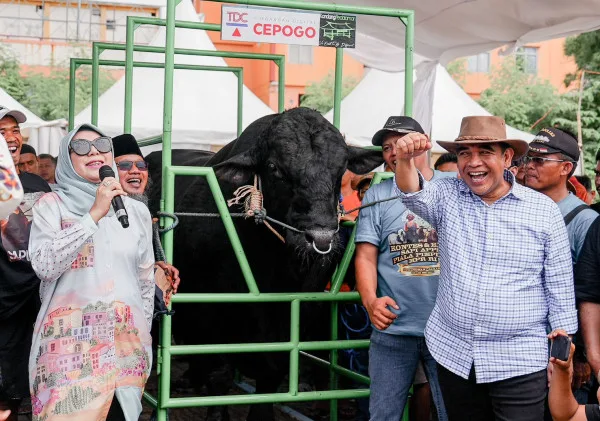 Kontes Sapi di Jakarta, Muzani Dukung Program Makan Siang dan Susu Gratis