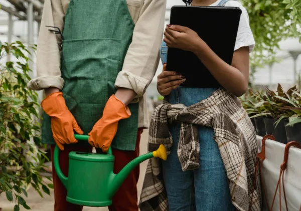 Petani Masa Kini: Memilih Media Tanam yang Tepat untuk Budidaya Sukses!