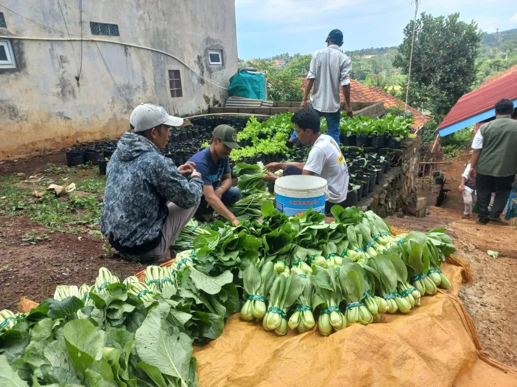 Program Dapur Hidup di Desa Haurngombong: Meningkatkan Kemandirian Pangan dan Penghasilan Keluarga