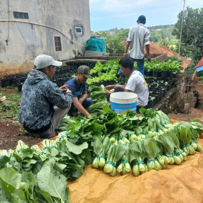 Program Dapur Hidup di Desa Haurngombong: Meningkatkan Kemandirian Pangan dan Penghasilan Keluarga