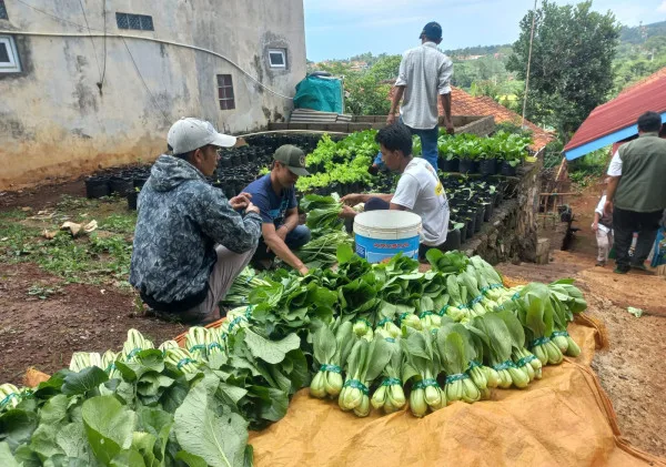 Program Dapur Hidup di Desa Haurngombong: Meningkatkan Kemandirian Pangan dan Penghasilan Keluarga