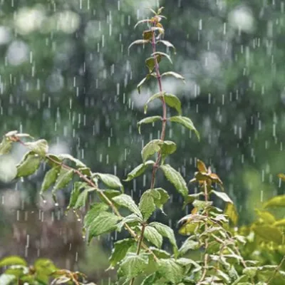 Prakiraan Cuaca di Kota Tangerang Selatan (Tangsel), Senin, 27 Mei 2024: Hujan Ringan di Enam Wilayah