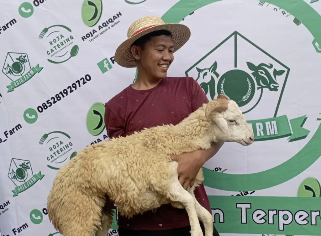 Dari Cilok ke Kambing: Kisah Inspiratif Roja, Sang Peternak Muda Sukses