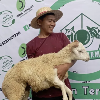 Dari Cilok ke Kambing: Kisah Inspiratif Roja, Sang Peternak Muda Sukses