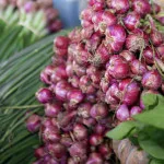 Pertanian Bawang Merah: Strategi Unik Banten untuk Kendalikan Inflasi