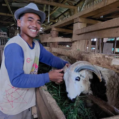 Ahmad Shidiq: Dari Buruh Bangunan ke Peternak Domba Mandiri