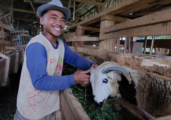 Ahmad Shidiq: Dari Buruh Bangunan ke Peternak Domba Mandiri
