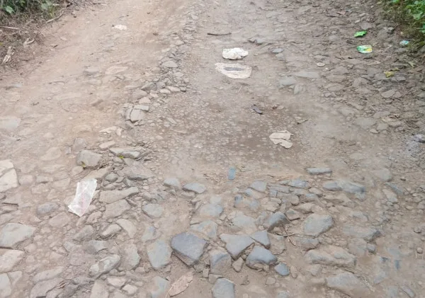 Kerusakan Jalan di Desa Sindangsari, Kabupaten Serang : Warga Menyerukan Tindakan Perbaikan dari Pihak Berwenang