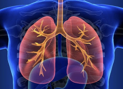 Dinkes Kota Tangerang Intensifkan Skrining TBC pada Anak-Anak, Sasar Balita dengan Gangguan Gizi