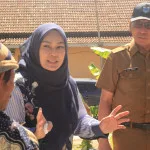Dongkrak Perekonomian, Dinas PUPR Kabupaten Pandeglang Bangun Dua Ruas Jalan