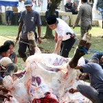 Penjabat Gubernur Banten, Al Muktabar, Menyembelih Sapi Bantuan Presiden Joko Widodo untuk Iduladha