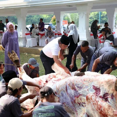 Pj Gubernur Banten Laksanakan Salat Iduladha dan Potong Hewan Kurban Bantuan Presiden di Masjid Raya Al Bantani