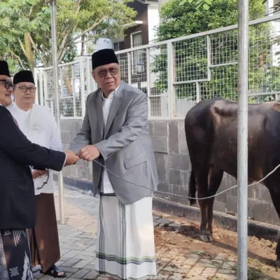 Pemkot Tangsel Salurkan Puluhan Hewan Kurban untuk Masyarakat pada Idul Adha 1445 H