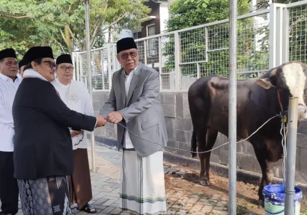 Pemkot Tangsel Salurkan Puluhan Hewan Kurban untuk Masyarakat pada Idul Adha 1445 H